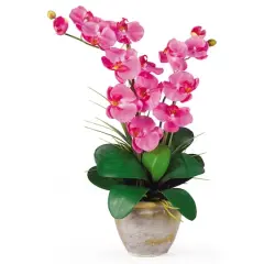 2ft. Double Moth Orchid Silk Flower Arrangement Dark Pink