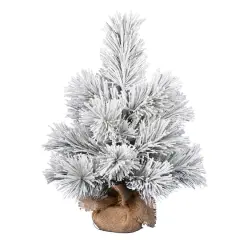 24" Unlit Frosted Beckett Pine Artificial Christmas Tree