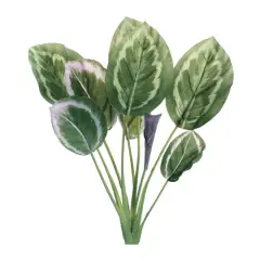 21.5" Prayer Plant Foliage Bushes, 6ct.