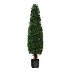 4ft. Potted Boxwood Cone Topiary Tree