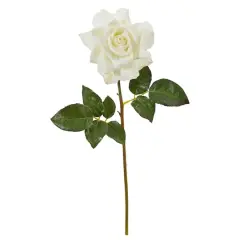 Rose Flower Stem, 6ct. White