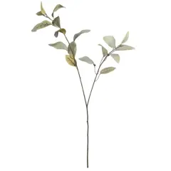 Green Feather Eucalyptus Stem by Ashland&reg;