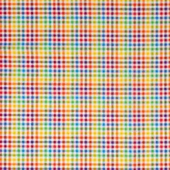 SINGER Rainbow Gingham Check Cotton Fabric