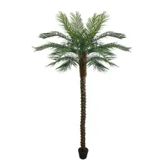 7.25ft. Potted Green & Brown Phoenix Palm Tree