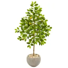 4.5ft. Lemon Tree in Sand Colored Planter