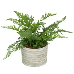 13" Green Faux Foliage Fern Artificial Plant With Patterned Round Pot