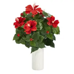 20" Hibiscus Plant in White Planter