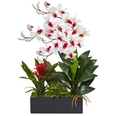 23.5" White & Red Pigeon Orchid & Bromeliad Arrangement in Black Rectangle Planter