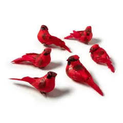 Red Feather Cardinals, 6ct. by Ashland&reg;