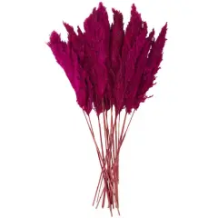 Dried Plant Pampas Natural Foliage with Long Stems Pink