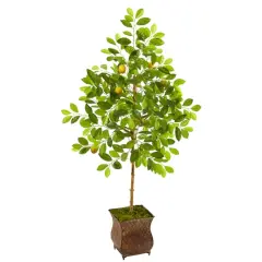 4.5ft. Lemon Tree in Decorative Planter