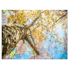Designart - Under Branch of Yellow Cherry Tree - Trees Canvas Art Print