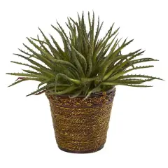 13" Aloe Artificial Plant in Basket