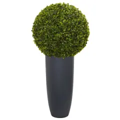 2.5ft. Boxwood Topiary Plant in Gray Cylinder Planter
