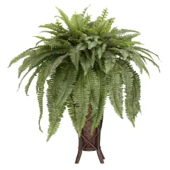 3ft. Boston Fern Plant in Stand