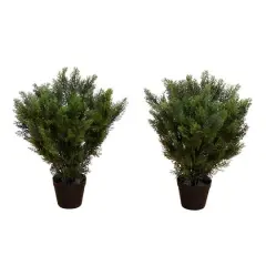 2ft. Potted UV Resistant Cedar Bushes, 2ct.