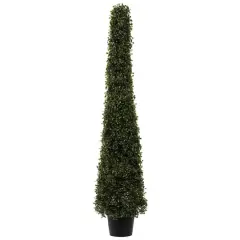 4ft. Potted Boxwood Cone