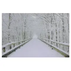 Winter Wooden Bridge Fiber Optic Lighted Canvas Wall Art
