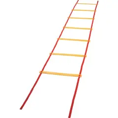 Champion Sports Economy Agility Ladder