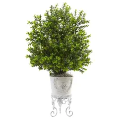 2.5ft. Boxwood with White Metal Planter