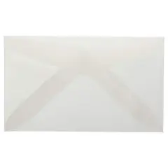 JAM Paper 2Pay Clear Translucent Vellum Envelopes, 100ct.