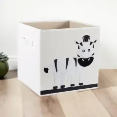 DII&reg; Zebra Storage Cube