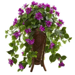 2.5ft. Bougainvillea Plant in Stand Planter