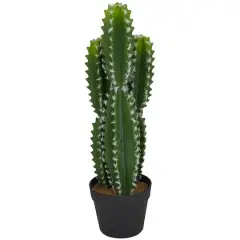 2ft. Green Cactus Faux Foliage Artificial Plant with Black Round Pot