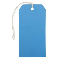 JAM Paper Medium Gift Tags with String Blue