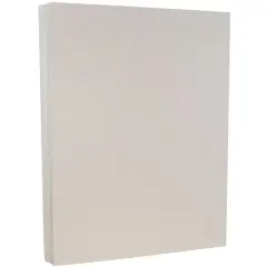 JAM Paper 8.5" x 11" Passport Granite Silver Cardstock, 50ct.