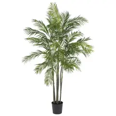 6ft. Potted Areca Palm Silk Tree