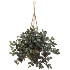 20" Inchplant Hanging Basket