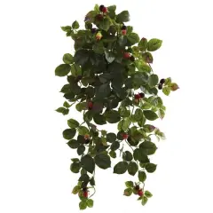 32" Raspberry Hanging Bush with Berries