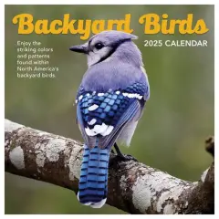 TF Publishing 2025 Backyard Birds Wall Calendar