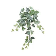 Green Frost One-Piece Ivy Bush