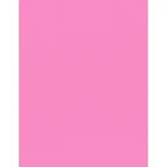 PA Paper&trade; Accents Pink Punch 8.5" x 11" 80lb. Canvas Cardstock, 1000 Sheets