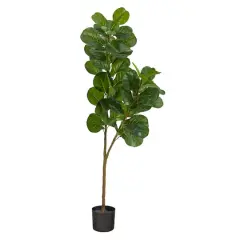 5.5ft. Potted Fiddle Leaf Fig Tree