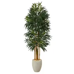6ft. Phoenix Palm Tree in White Planter with Stand
