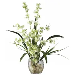 19" Green Dancing Lady Orchid Arrangement in Vase