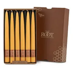 Root Candles 9" Unscented Taper Candles, 12ct. Butterscotch