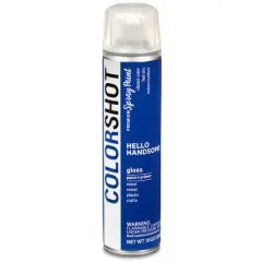 COLORSHOT&reg; Premium Gloss Spray Paint Hello Handsome