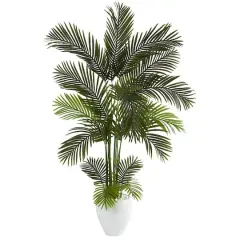 5.5ft. Areca Palm Tree in White Planter