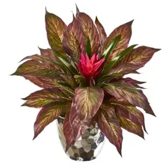 14" Ginger & Musa Leaf Plant in Silver Planter