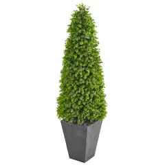 5ft. Eucalyptus Topiary Tree in Slate Planter