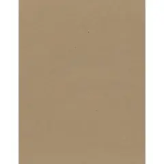 PA Paper&trade; Accents 8.5" x 11" Natural 2X Heavy 85pt. Chipboard, 25 Sheets