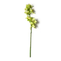 Tropical Cymbidium Stem by Ashland&reg; Pale Green