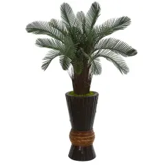 3.5ft. Cycas in Bamboo Planter