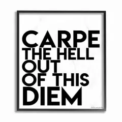 Stupell Industries Carpe Hell Out Of This Diem Typography Black Framed Wall Art