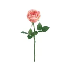 Coral Garden Cabbage Rose Spray