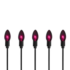 10ct. Purple C9 Bulb Halloween Pathway Markers